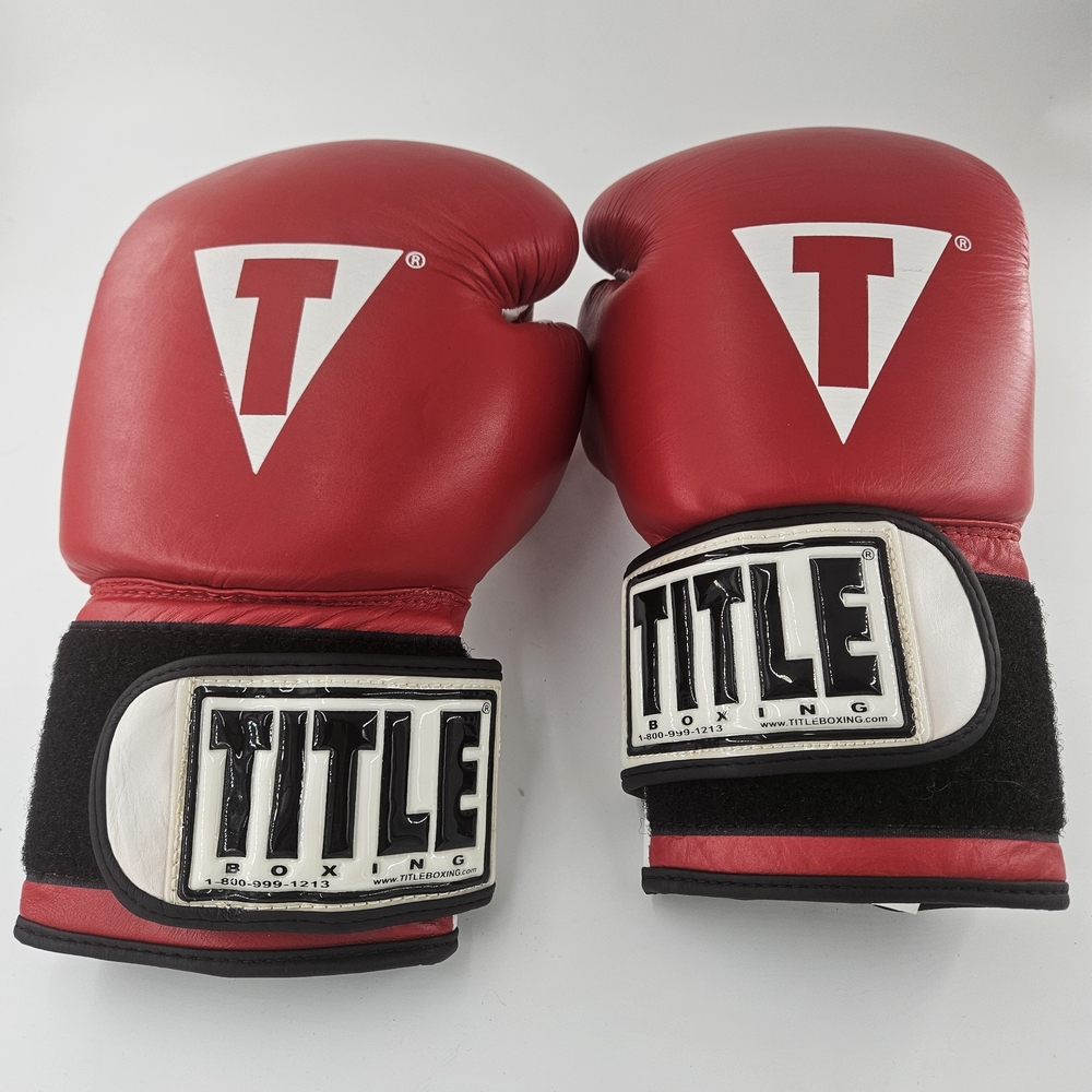 TITLE Boxing Gloves, Large, Genuine Leather, Excellent Condition